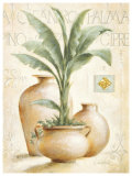 Palma