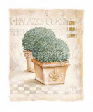 Buy Corsini at AllPosters.com