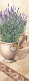 Lavanda Provenzale