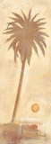 Buy Manaos at AllPosters.com