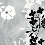 White Shadow