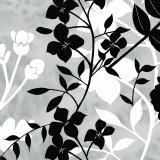 Shadow Stem