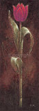 Buy Mystic Tulip Dark Red at AllPosters.com