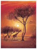 Sunset with Giraffes