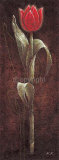 Buy Mystic Tulip Red at AllPosters.com