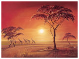 Etosha
