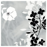 White Shadow