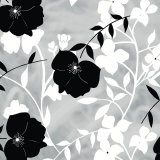 Shadow Flower