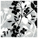 Shadow Stem