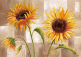 Sunny Times