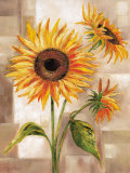 Buy Sunny Day at AllPosters.com