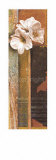 Buy Ode to Anna I at AllPosters.com
