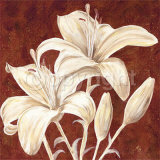 Buy Beautiful at AllPosters.com