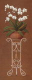 Buy Orchid Display II at AllPosters.com