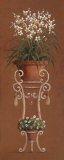 Buy Orchid Display I at AllPosters.com