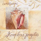 Buy Caribbean at AllPosters.com
