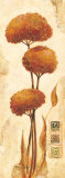 Fortuna