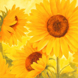Buy Sun on the Beach at AllPosters.com
