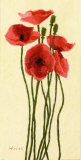 Buy Pavots Rouge II at AllPosters.com
