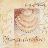Buy Gulf of Mexico at AllPosters.com