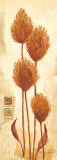 Buy Juno at AllPosters.com
