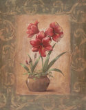 Wanda's Amaryllis II