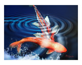 Buy Koi Crossing at AllPosters.com