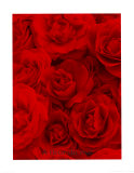 A Fleur du Mal, 1999