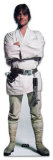 Luke Skywalker