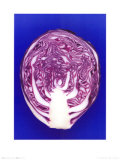 Red Cabbage, c.2001