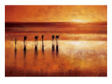 Buy Camel Crossing at AllPosters.com