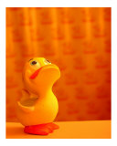 Happy Little Duckie