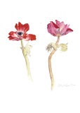 Buy Red Anemones at AllPosters.com