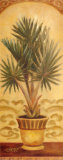 Tuscan Palm II