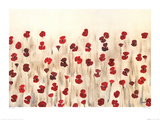 Poppy Profusion