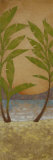 Buy Tropical Morning II at AllPosters.com