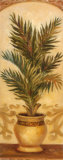Tuscan Palm I