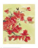 Buy Autumn Leaves I at AllPosters.com