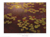Lilies and Light