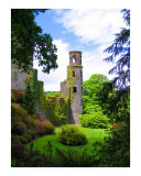 Blarney Castle