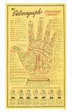 The Palmograph Fortune Chart Masterprint