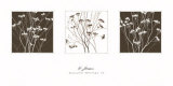 Buy Autumn Whimsy IV at AllPosters.com