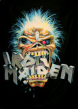 Iron Maiden Fabric Poster