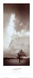 Buy Last Stand at AllPosters.com
