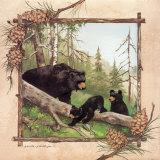 Black Bears IV