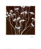 Autumn Whimsy II