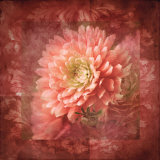 Buy Dahlia II at AllPosters.com