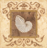 Stylized Shell III