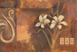 Buy Honey Dragons at AllPosters.com