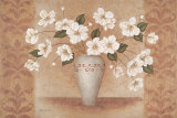 White Anemones